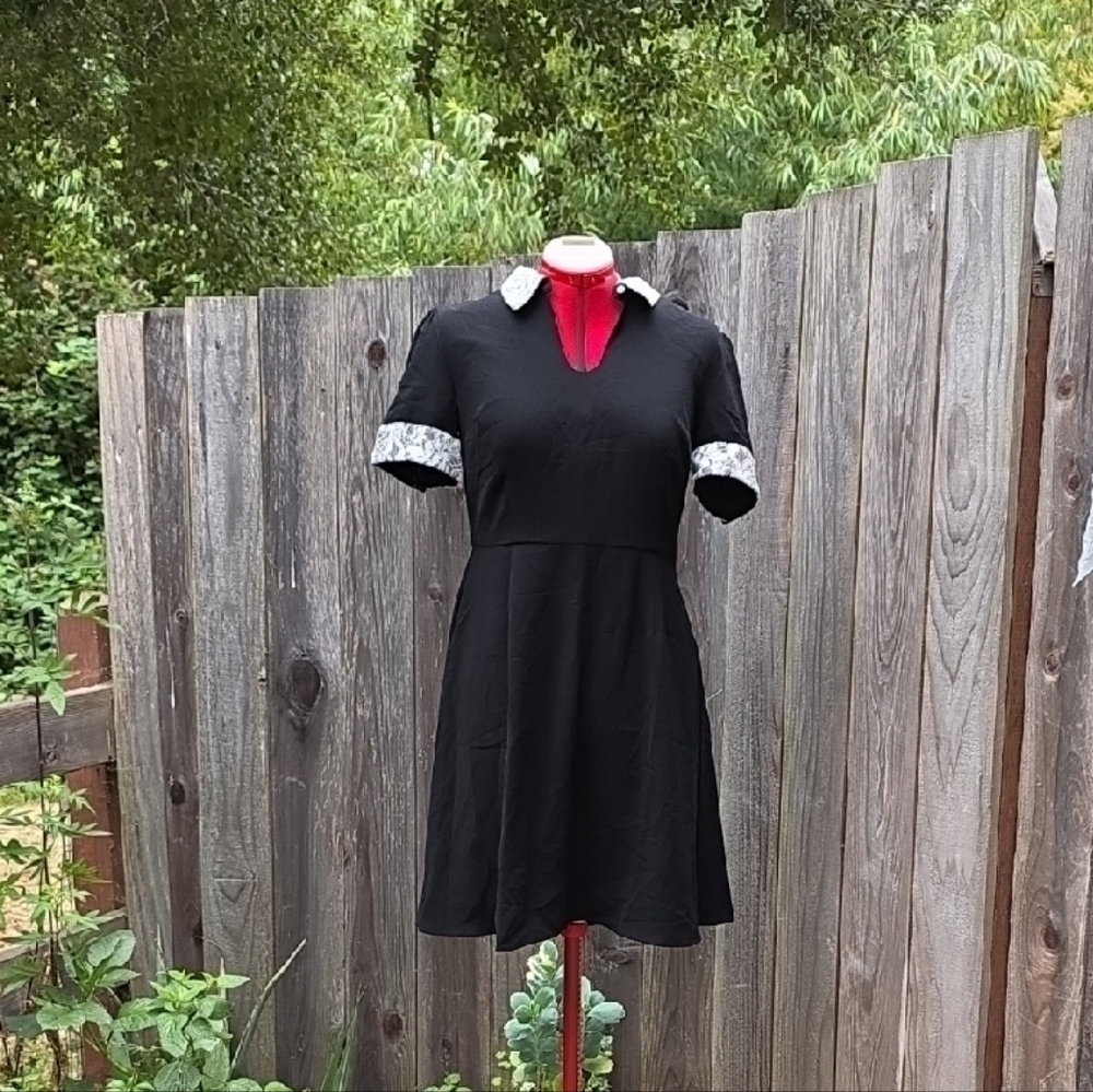 Modcloth Black Mini Dress with White Details